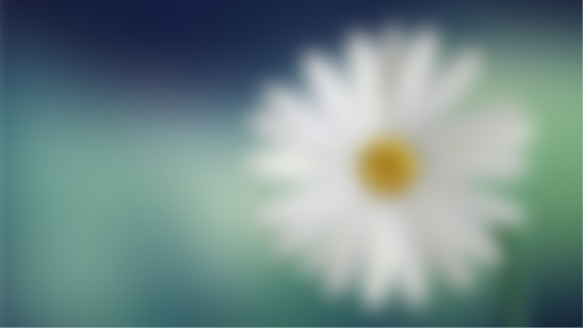 Saint Martin de Porres