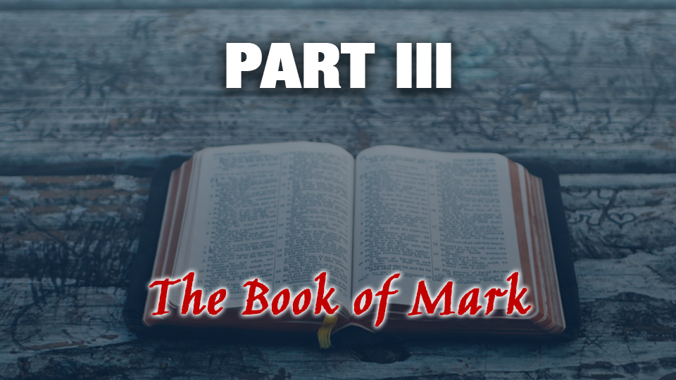 gospels_for_teens_3